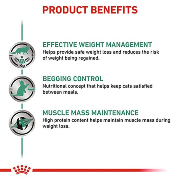 Royal Canin Veterinary Cat - Satiety Weight Management-Alifant Food Supplier