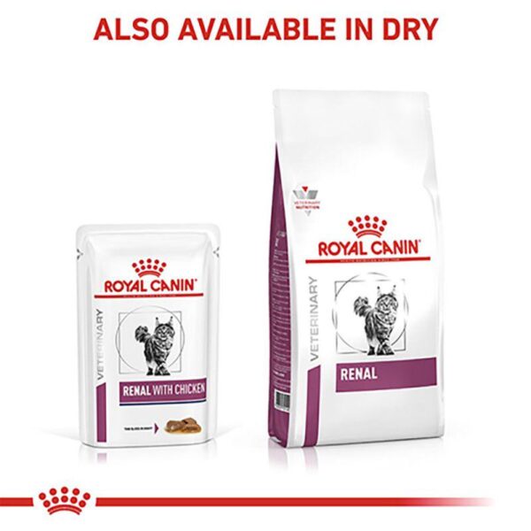 Royal Canin Veterinary Cat - Renal with Chicken-Alifant supplier