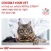 Royal Canin Veterinary Cat - Renal with Chicken-Alifant supplier