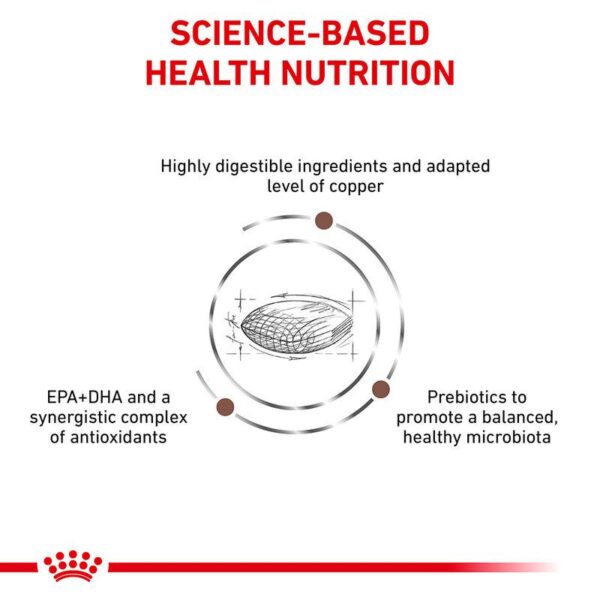 Royal Canin Veterinary Dog - Hepatic-Alifant Food Supplier