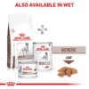 Royal Canin Veterinary Dog - Hepatic-Alifant Food Supplier