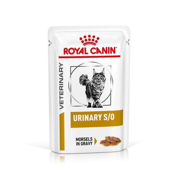 Royal Canin Veterinary Feline Urinary S/O in Gravy-Alifant Food Supplier