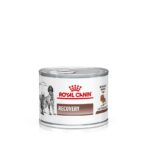 Royal Canin Veterinary Dog & Cat – Recovery Mousse-Alifant Food Supplier