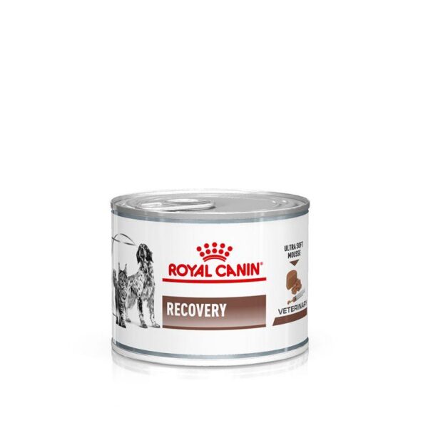 Royal Canin Veterinary Dog & Cat – Recovery Mousse-Alifant Food Supplier
