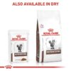 Royal Canin Veterinary Cat - Gastrointestinal in Gravy-Alifant suplier