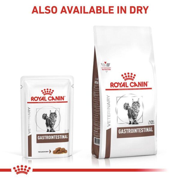 Royal Canin Veterinary Cat - Gastrointestinal in Gravy-Alifant suplier