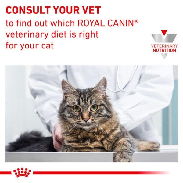 Royal Canin Veterinary Feline Urinary S/O in Gravy-Alifant Food Supplier