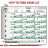 Royal Canin Veterinary Cat - Satiety Weight Management-Alifant Food Supplier