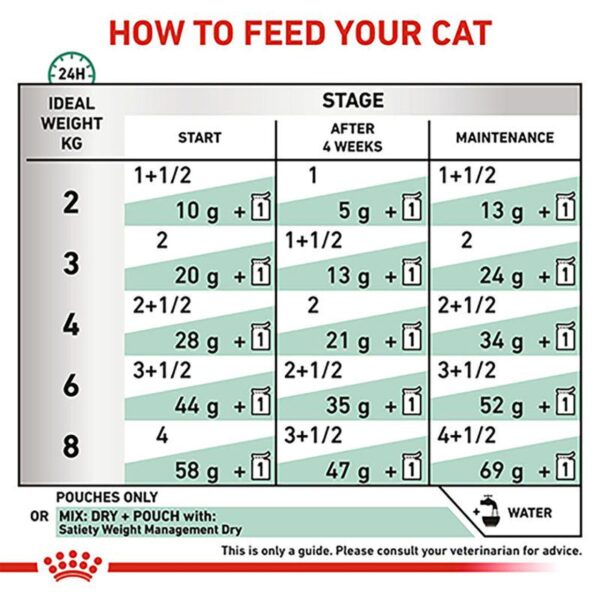 Royal Canin Veterinary Cat - Satiety Weight Management-Alifant Food Supplier