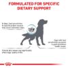 Royal Canin Veterinary Canine Sensitivity Control-Alifant Food Supplier