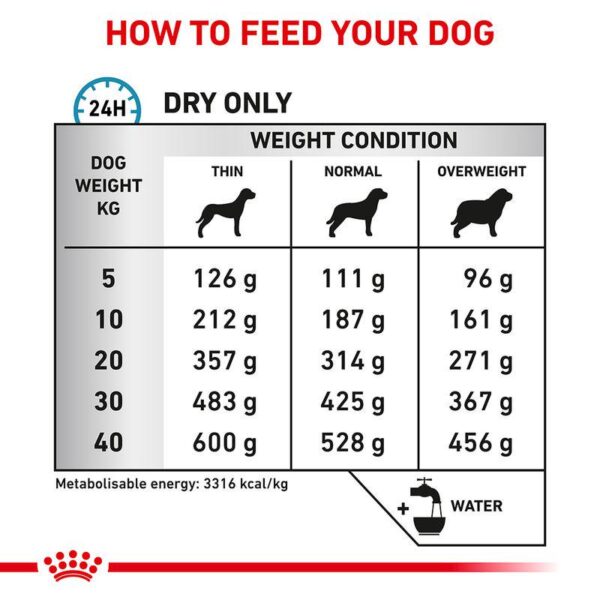 Royal Canin Veterinary Canine Sensitivity Control-Alifant Food Supplier