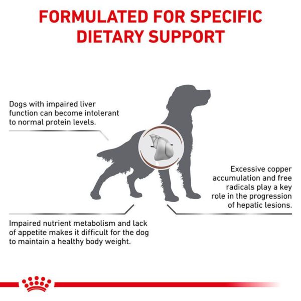 Royal Canin Veterinary Dog - Hepatic-Alifant Food Supplier