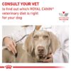 Royal Canin Veterinary Dog - Hepatic-Alifant Food Supplier