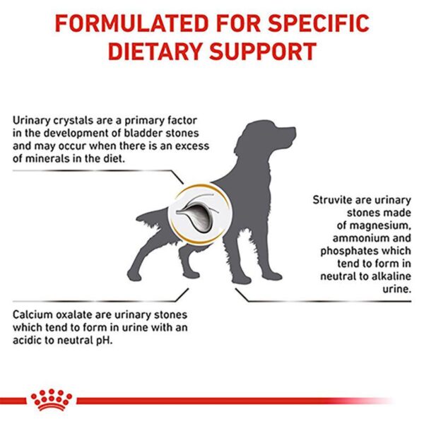 Royal Canin Veterinary Dog - Urinary S/O LP 18-Alifant Food Supplier