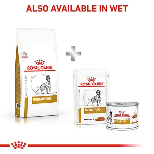 Royal Canin Veterinary Dog - Urinary S/O LP 18-Alifant Food Supplier