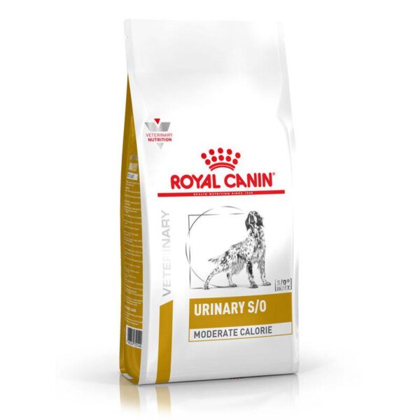 Royal Canin Veterinary Dog - Urinary S/O Moderate Calorie-Alifant supplier