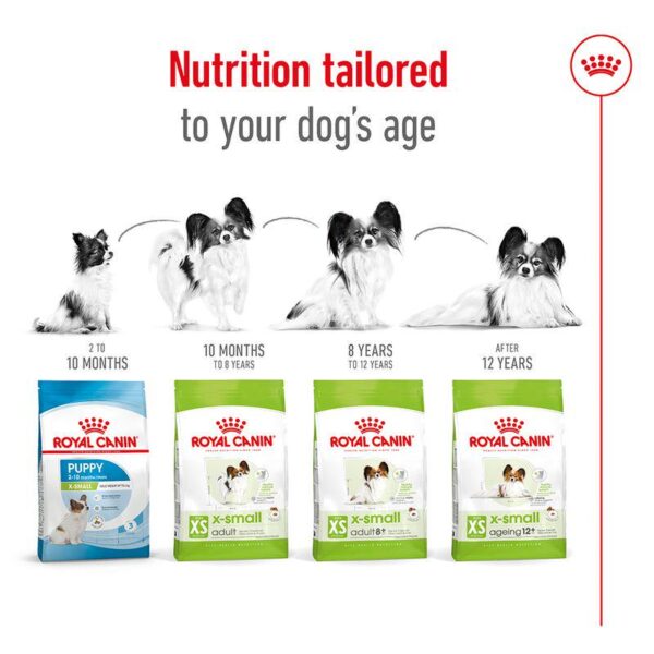 Royal Canin X-Small Adult-Alifant Food Supplier