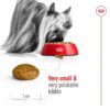 Royal Canin X-Small Adult-Alifant Food Supplier