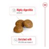 Royal Canin X-Small Adult-Alifant Food Supplier