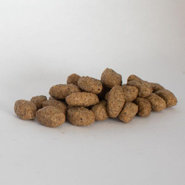 Skinner's Field & Trial Light & Senior Dry Dog Food-Alifant Food Supplier