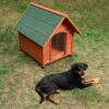 Spike Comfort Dog Kennel-Alifant Food Supply