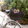 Trixie Friends on Tour Black Bicycle Bag - Alifant Food Supplier