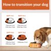 Wellness Core Medium & Large Adult Low Fat Dry Dog Food-Alifant Food Supplier