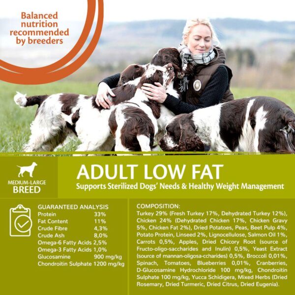 Wellness Core Medium & Large Adult Low Fat Dry Dog Food-Alifant Food Supplier