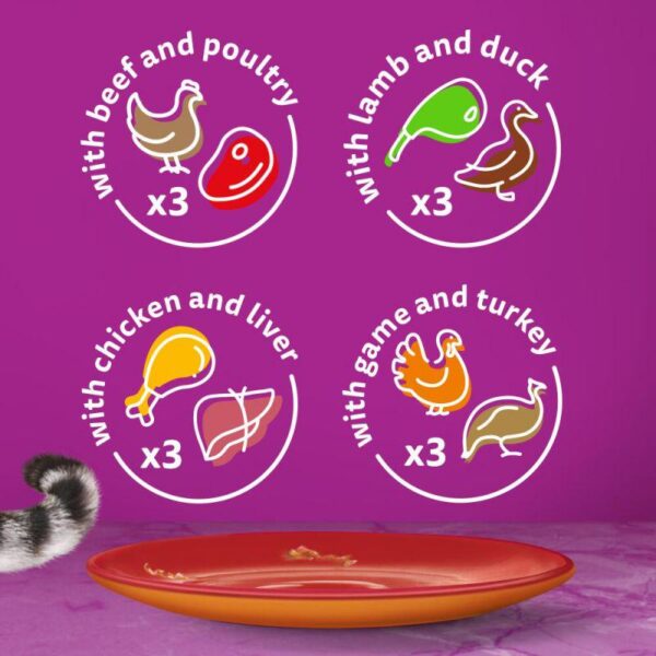 Whiskas 1+ Duo Meaty Combos in Jelly-Alifant Food Supplier