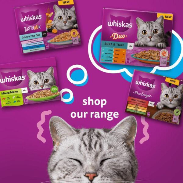 Whiskas 1+ Duo Ocean Delights in Jelly-Alifant Food Supplier