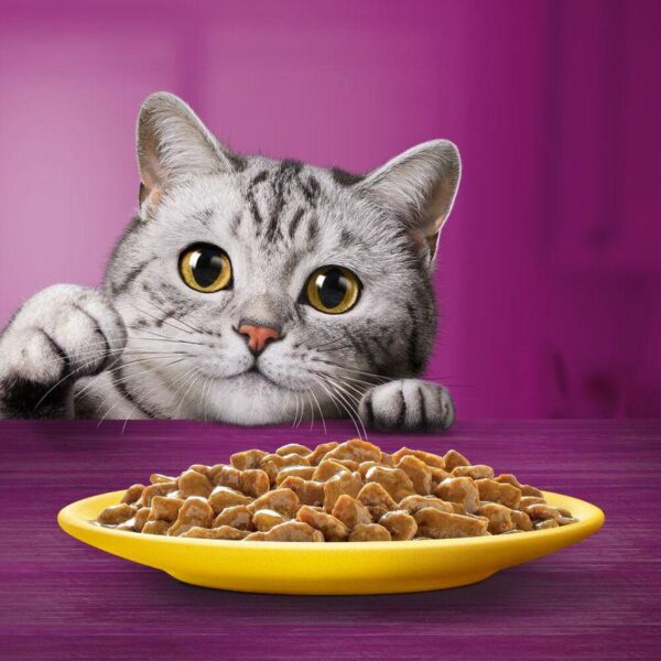 Whiskas 1+ Poultry Feasts in Gravy-Alifant supplier