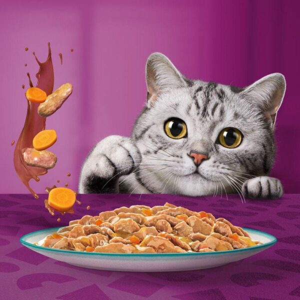 Whiskas 1+ Tasty Mix Catch of the Day in Gravy-Alifant Food Supplier