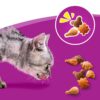 Whiskas Crunch with Chicken, Turkey & Duck-Alifant Food Supplier