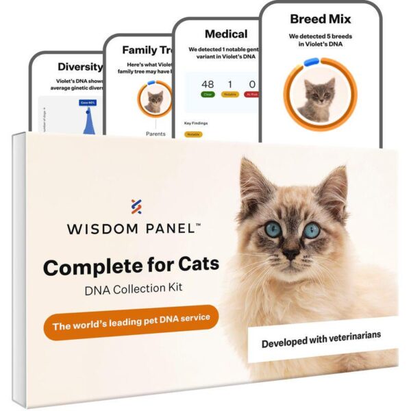 Wisdom Panel™ Complete Cat DNA Test-Alifant supplier
