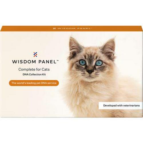 Wisdom Panel™ Complete Cat DNA Test-Alifant supplier