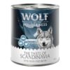 Wolf of Wilderness Adult "The Taste of" 6 x 800g-Alifant Food Supplier