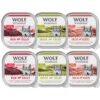 Wolf of Wilderness Adult Classic 6 x 300g-Alifant Food Supplier