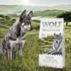 Wolf of Wilderness Senior "Green Fields" Lamb - Grain-Free-Alifant Food Supplier