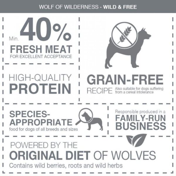 Wolf of Wilderness Senior "Green Fields" Lamb - Grain-Free-Alifant Food Supplier