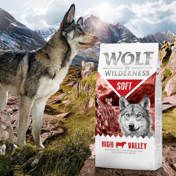 Wolf of Wilderness Soft "High Valley" - Beef-Alifant food Supplier