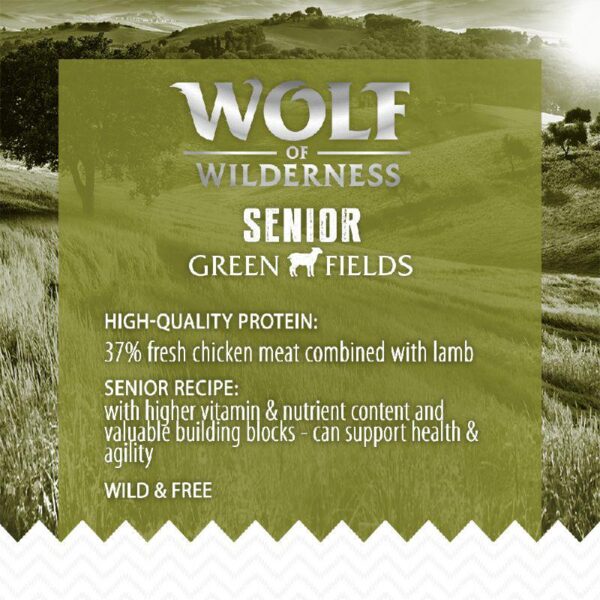 Wolf of Wilderness Senior "Green Fields" Lamb - Grain-Free-Alifant Food Supplier