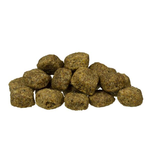 bosch Senior Dry Dog Food-Alifant Food Supplier