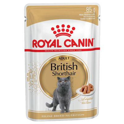 Royal Canin British Shorthair Adult in Gravy-Alifant Food Supply