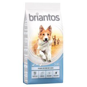 Briantos Adult Light-Alifant food Supply